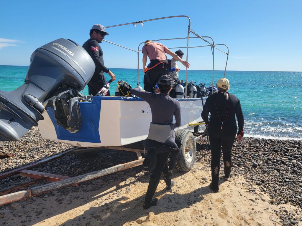 scuba diving cabo pulmo dive boats